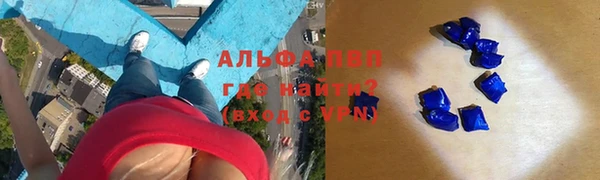 хмурый Ладушкин
