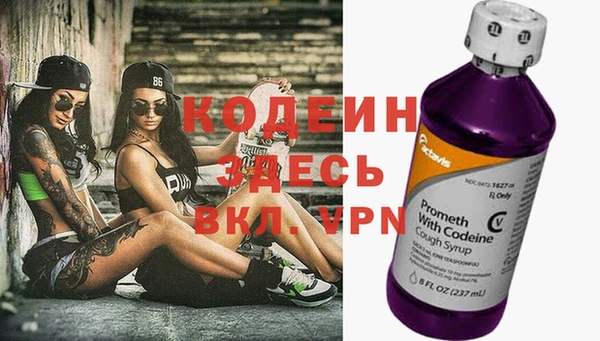 хмурый Ладушкин