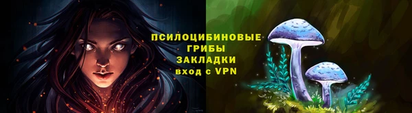 хмурый Ладушкин