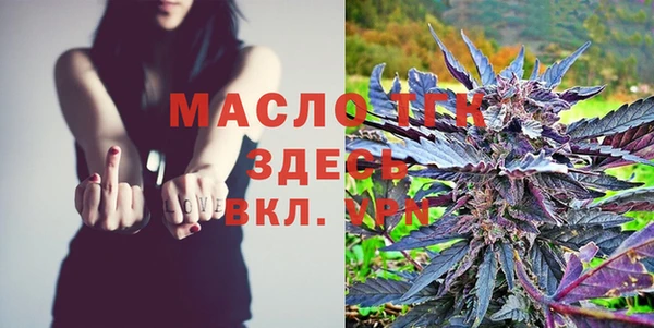 хмурый Ладушкин